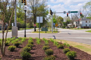 Augusta, GA Landscape Plantings 1