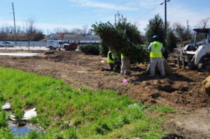 Augusta, GA Landscape Maintenance 2