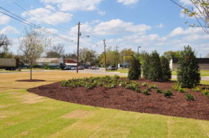 Augusta, GA Landscape Plantings 2