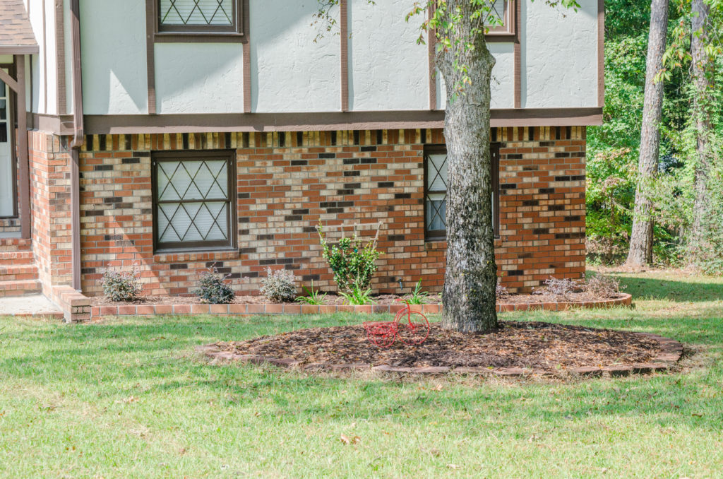 5 Questions to Ask Your Landscaper 1