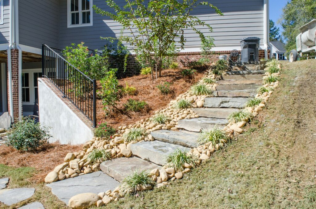 Winter planting of trees and shrubs at the best time of the year.