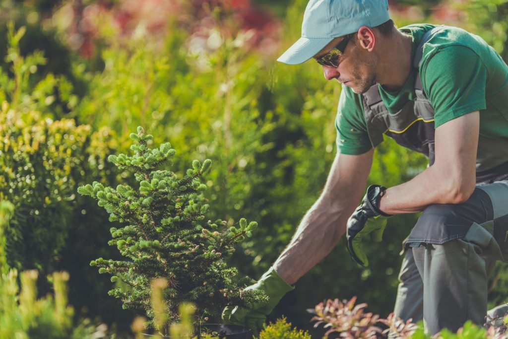 Why Landscaping is an Essential Business 1