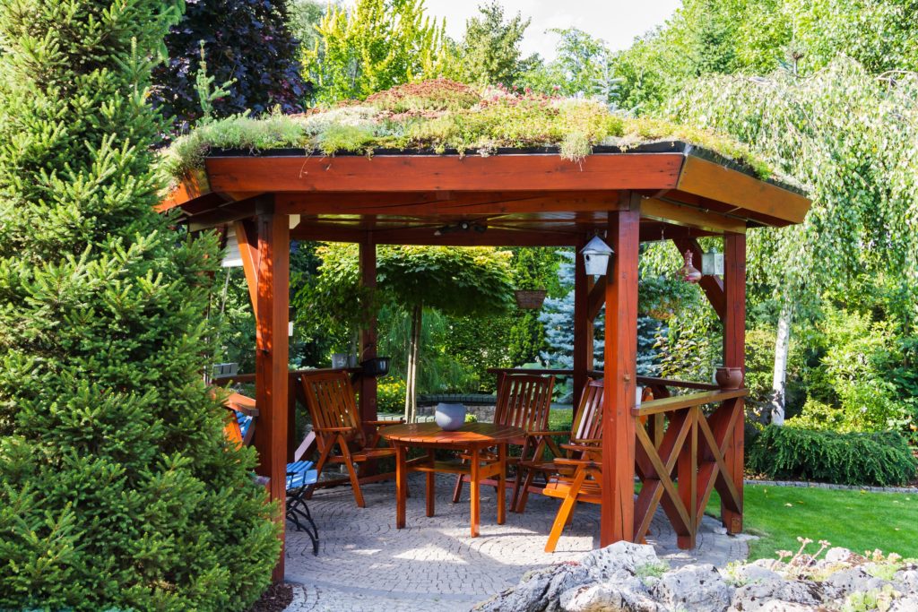 How to Create Privacy in Your Outdoor Space 3