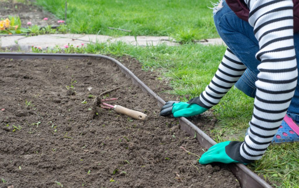 How to Prepare Your Landscape for Spring 4