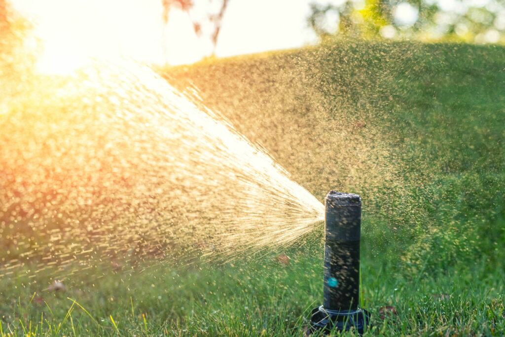 4 Reasons to Install an Irrigation System 2