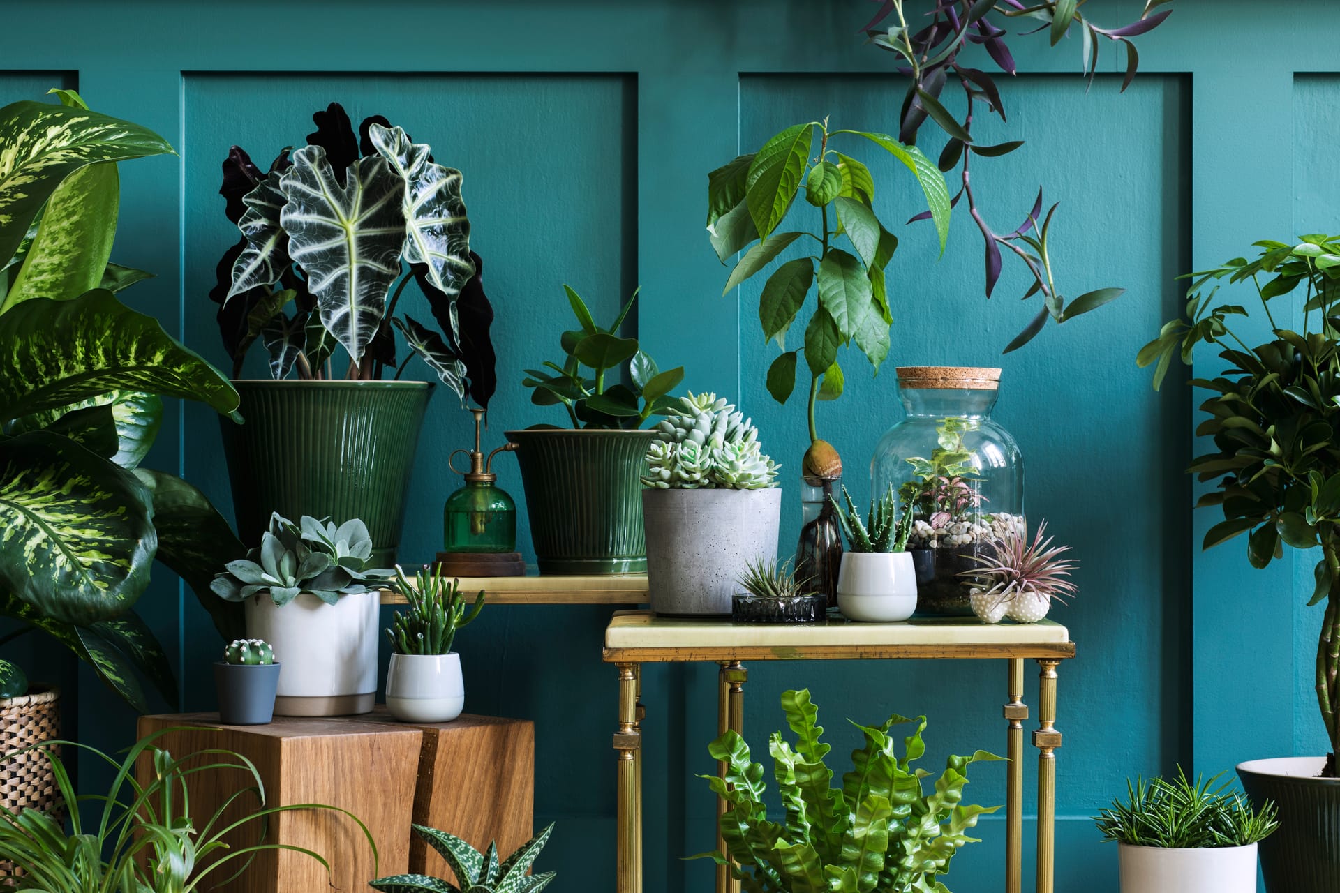 How to Keep Plants Alive While on Vacation Verdant Landscaping