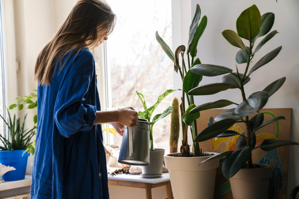 How to water plants while on vacation.