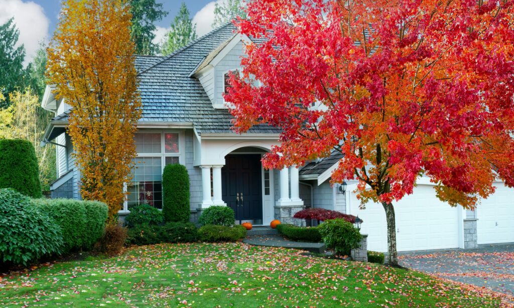 Fall lawn care tips