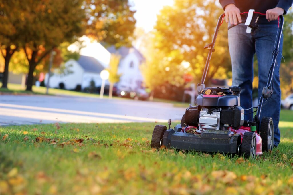 Fall lawn care tips