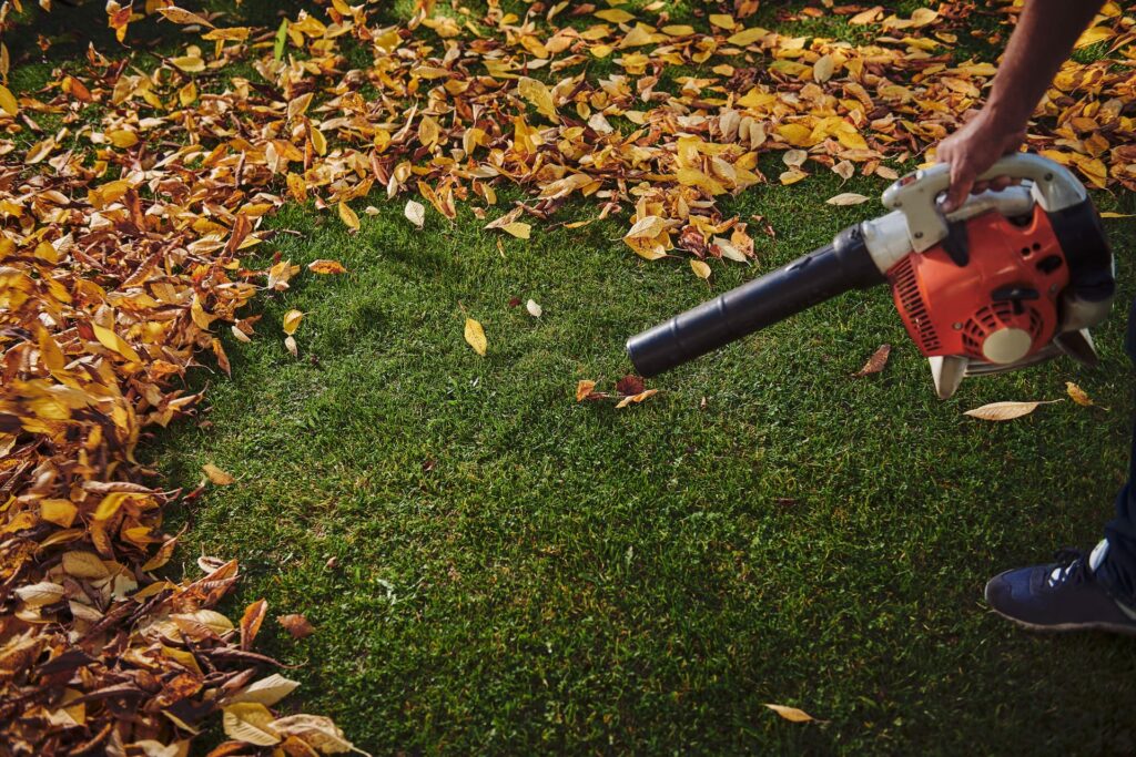 Leaf blower for blowing off leaves quickly.