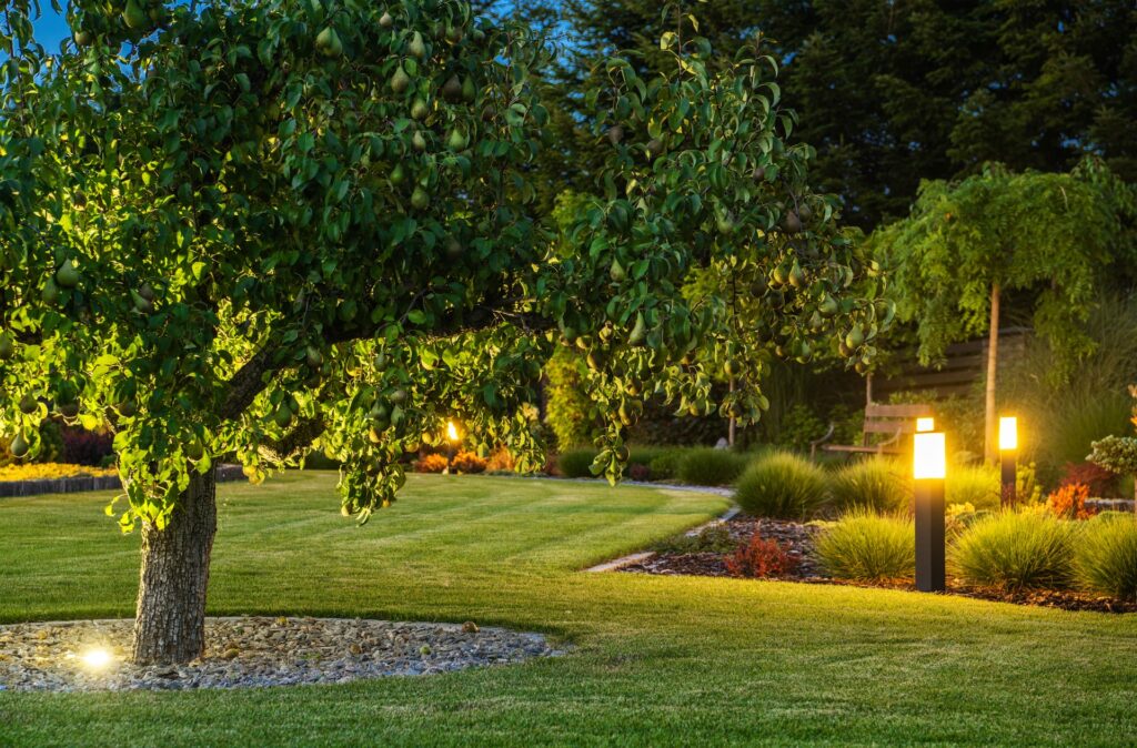 Landscape lighting around a backyard.