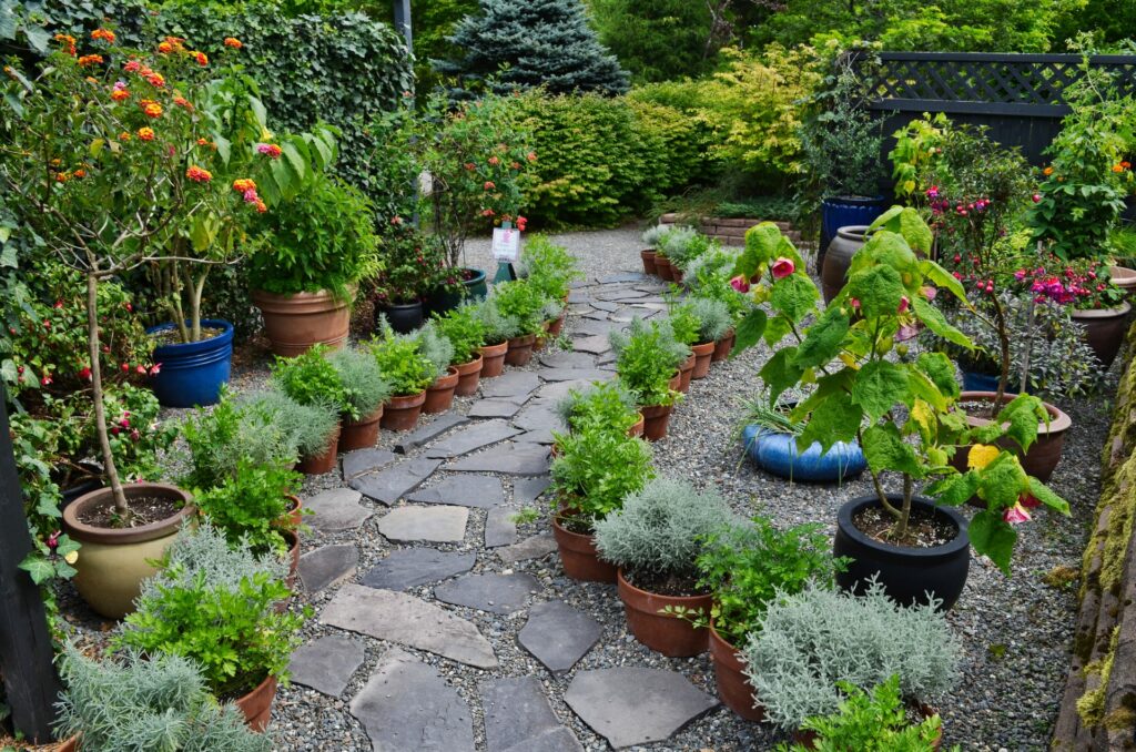 Small Garden Tips: Maximize Compact Outdoor Spaces 9